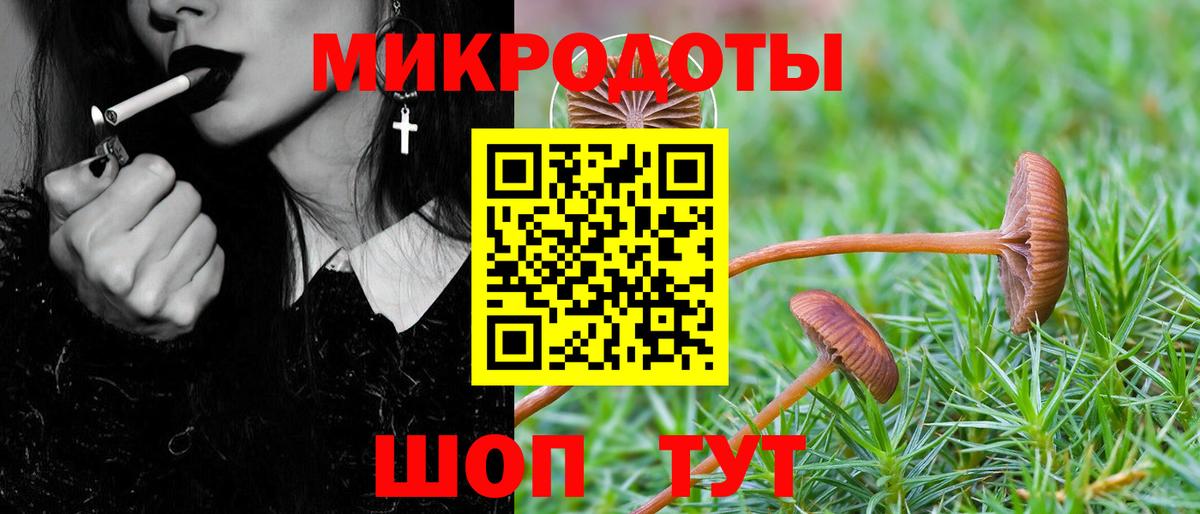Качканар  Галлюциногенные грибы Cubensis  Вход с VPN 